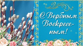 Вербное Воскресенье 2024🌼 Поздравления с Вербным Воскресеньем! Праздник Вербное Воскресенье