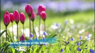 In the Shadow of His Wings - Instrumental (Choir)