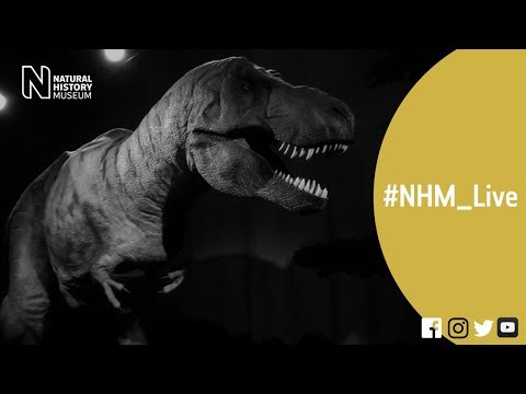 最もクールな恐竜は何ですか？ | #NHM_Live