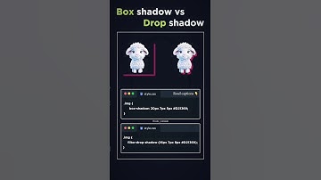 Box Shadow VS Drop Shadow in CSS🧑‍💻 #coding #programming #2024 #cssanimation #csstricks #css #html