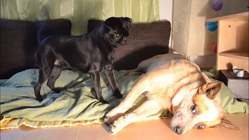 Co byste měli vyhledat, pokud se svědění kůže zlepšuje?