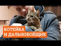 Дальнобойщик вернулся за котом, которого спас от смерти на трассе | E1.RU