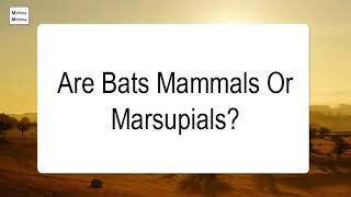 Are Bats Mammals Or Marsupials