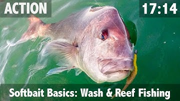 Softbait (Soft Plastics) Basics: Wash & Reef Fishing