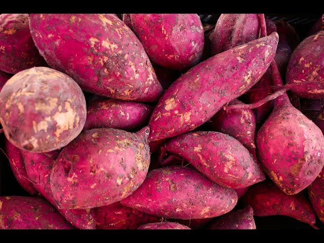 Uganda celebrates 1st ever potato day.