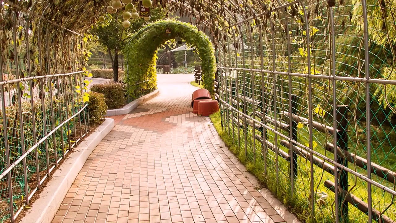 garden trellis ideas - YouTube