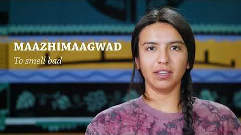 Maazhimaagwad (Ojibwe Word of the Day)