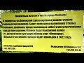 😱😱😰😰😰 ЖЕСТЬ В НАХОДКЕ 14.07.2022. АЛЛЕЯ. ЛЕНИНСКАЯ.ШОК!!! 🤦‍♂️😰🤯😮 СПИЛИЛИН😨Х ДЕРЕВЬЯ.