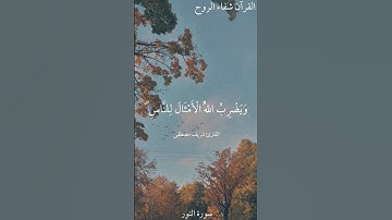 نُّورٌ عَلَىٰ نُورٍ|سورة النور|القارئ شريف مصطفى|#قرآن #quran #شريف_مصطفى