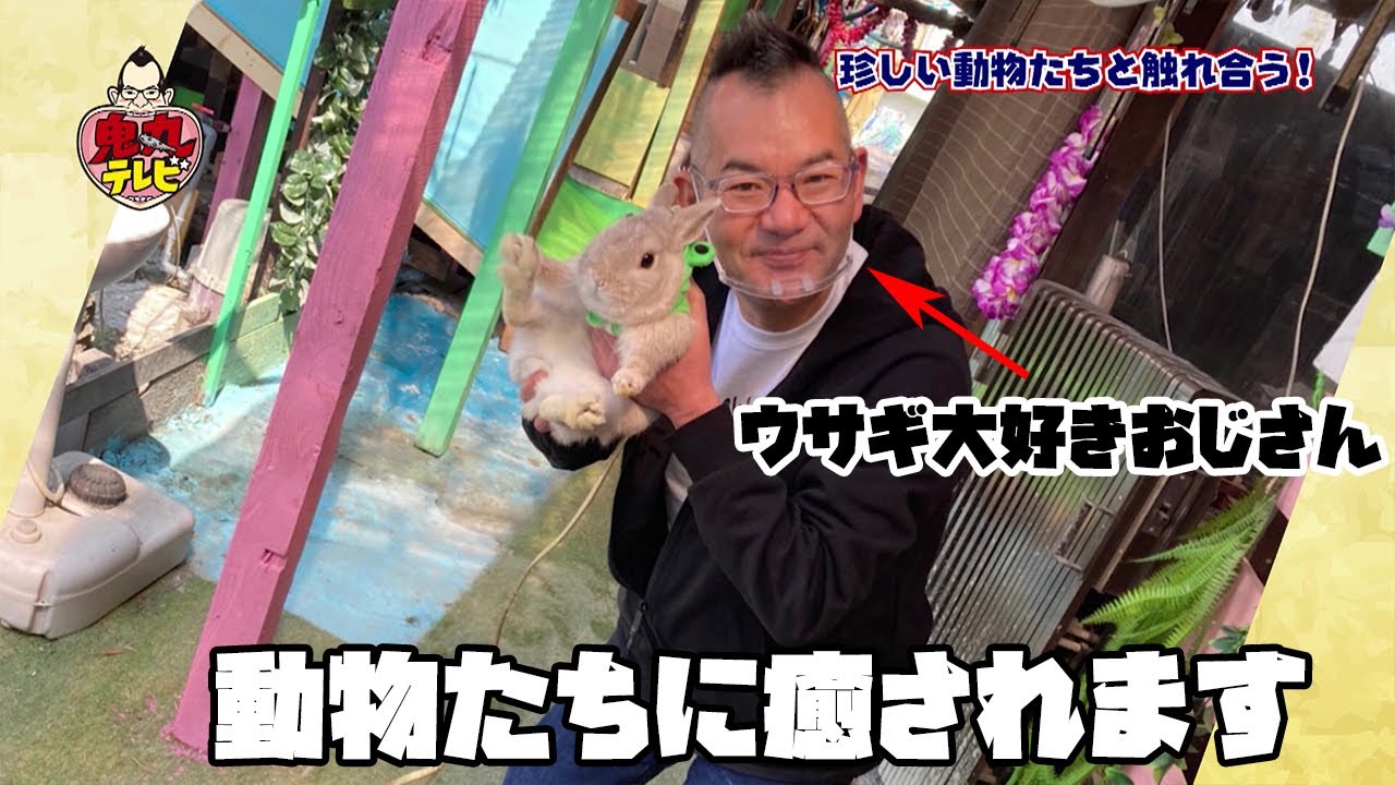 【動物とふれあえるお店 前篇】珍しい動物に癒されます！川越にアザラシがいます。【鬼丸テレビ105】