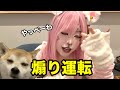 お出かけしたら煽られました。
