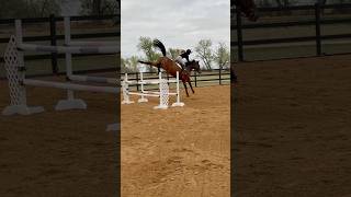 My back kinda hurts😂😭 #horse #hindend #fyp #wow #athlete