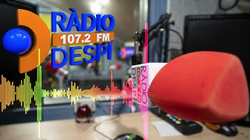 Connectat P 223 AV del 21 12 2025