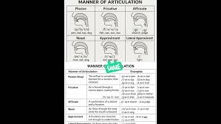 Manner Of Articulation Of Language