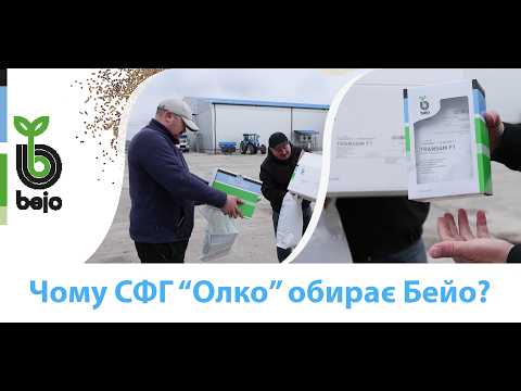 СФГ «Олко»: візит до господарства — чому обирають Тайфун, Трансам, Боро?