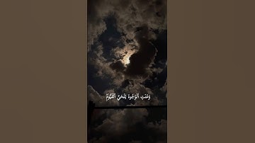 #explore #quran #اكسبلور #قران_كريم #قرأن #قرآن #foryou #لايك #قرآن_كريم #راحة_نفسية#لك#سورة_طه