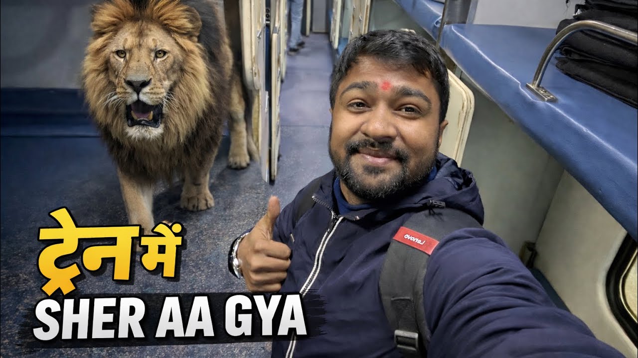 ट्रेन में शेर आ गया 😱 | Live Lion In Train | Shocked Passengers | Viral Video 🦁