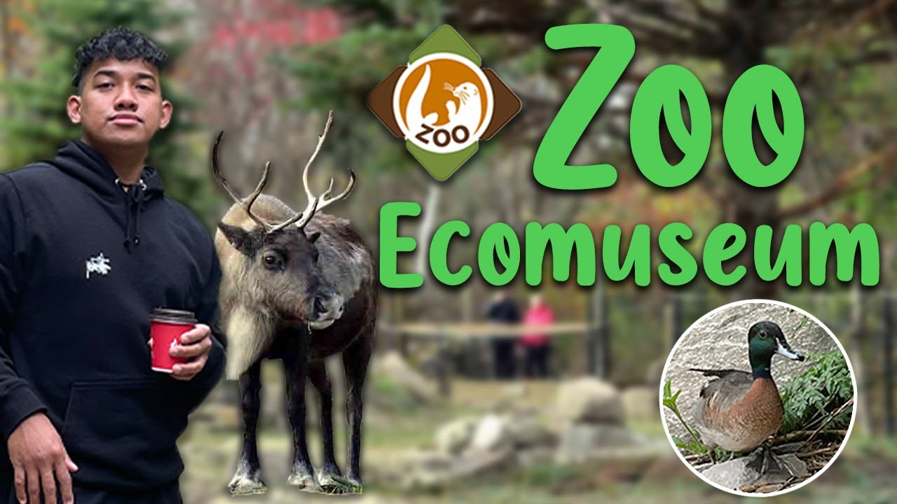 Finally summer is here | Zoo Ecomuseum
