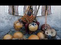 Baba sissoko culture griot histoire de la calebasse dans la tradition africaine