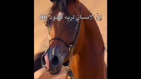 سورة العاديات ...الشيخ يوسف محمد