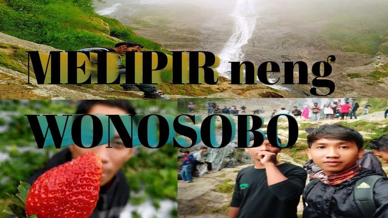 Melipir neng Wonosobo, Kebun Strawberry + Curug Sikarim