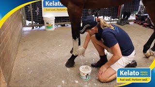 How To Apply a Poultice