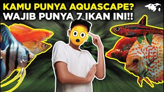 LAGI NGETREN!! INILAH 7 IKAN HIAS YANG COCOK UNTUK AQUASCAPE, APA AJA?