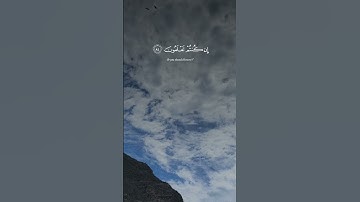 #تلاوة_خاشعة #قران #قران_كريم #ياسر_الدوسري #quran #quran_alkarim #متابعه_ولايك_واكسبلور_احبكم