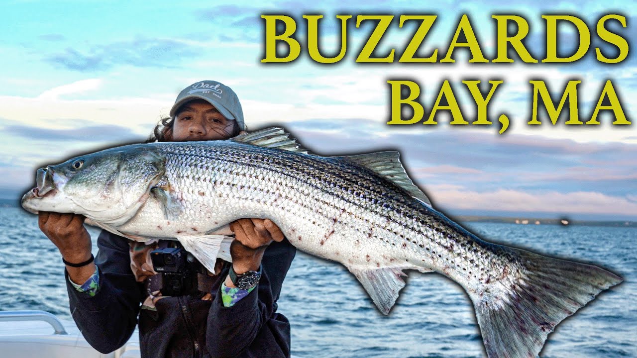 Catching GIANT Striped Bass In Cape Cod, MA - TOPWATER PB! 