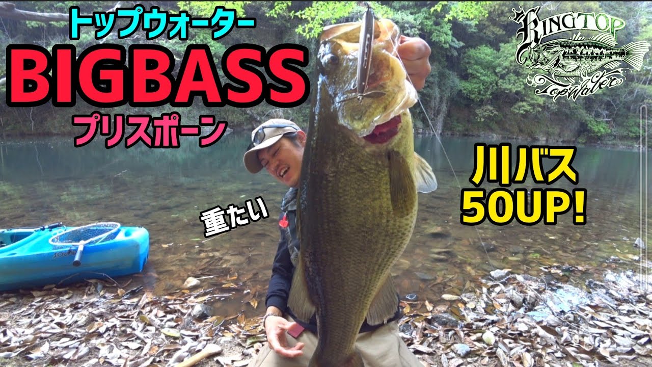 《203》BIGBASSトップウォーター春の川でプリバス出現！！デカすぎる50UP！！