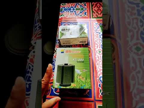 اساسيات حوض السمك الفلتر البيولجى