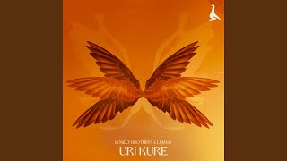 Uri Kure