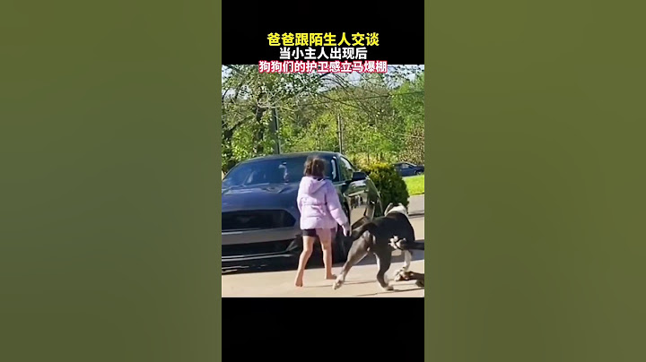 爸爸跟陌生人交谈，当小主人出现后，狗狗们的护卫感立马爆棚#shortvideo #shorts