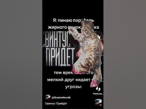 свинтус прийдет - YouTube