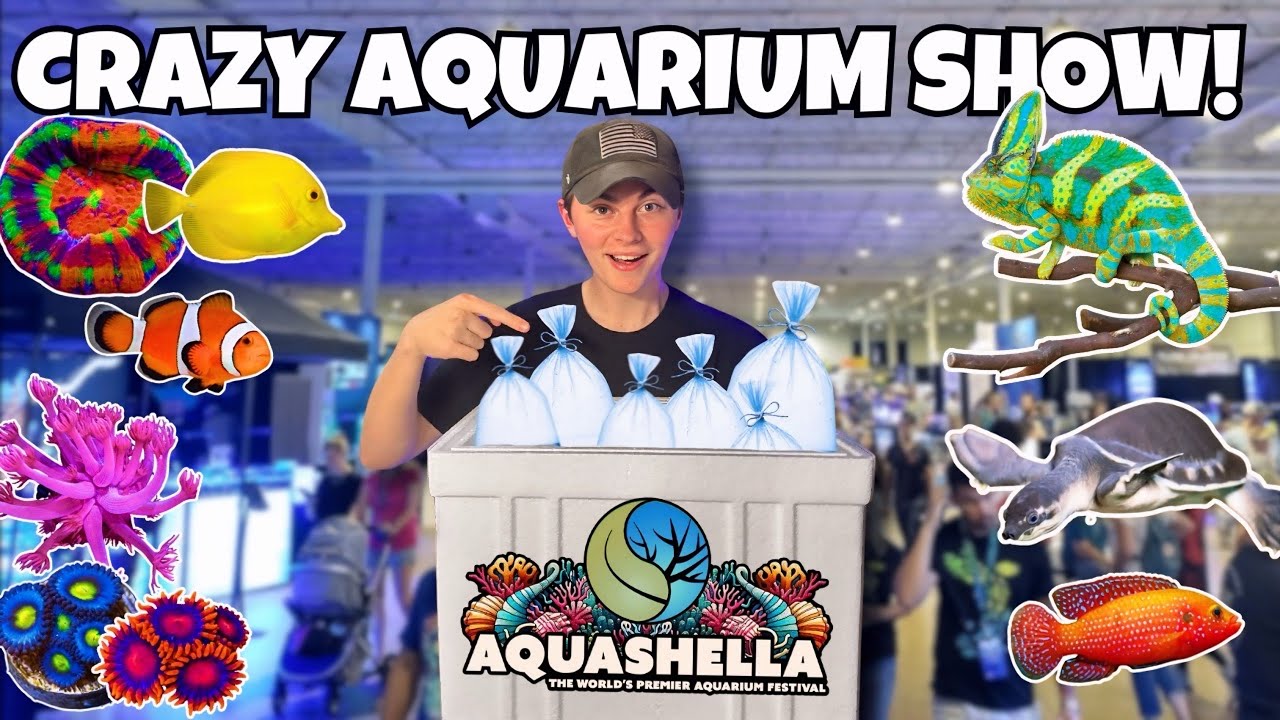 Я потратил ВСЕ свои деньги на этом ОГРОМНОМ ШОУ АКВАРИУМОВ! (Aquashella Daytona 2024)