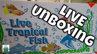Fantastic Live Fish Unboxing
