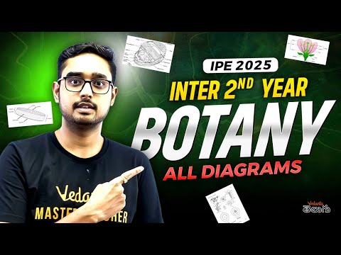 Inter 2nd Year Botany Sure Shot diagrams 2025 | AP & TS IPE Preparation🔥 | Don’t Miss Out!