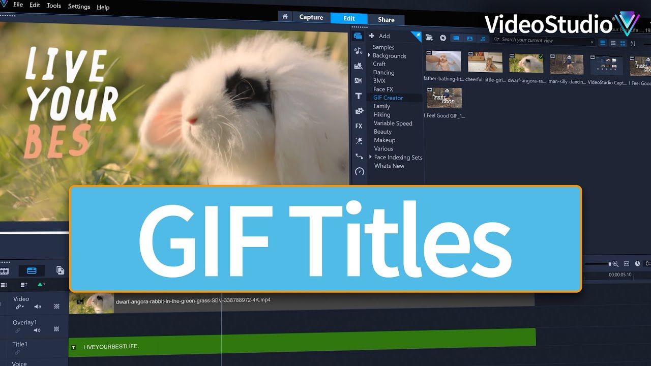 How to quickly create GIFs with VideoStudio 