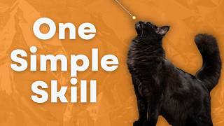 Teach Your Cat to Follow a Target Stick | Beginner Clicker Training Series, Part 2