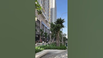 Không gian công viên nội khu Q7 Sài Gòn Riverside | Căn hộ vui vẻ