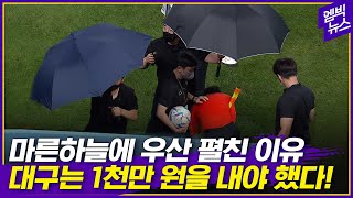 축구장에 킹스맨 우산 등장한 사연.. 대구FC 제재금 1천만 원!