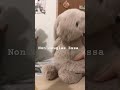 ESSA BATTLE! duet #essa #foryou #duet #puppy #battle
