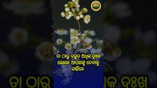 Nitibani short  Odia Motivational Short  Omq