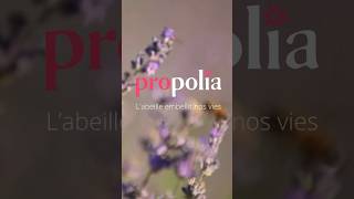 Propolia En 20 Secondes