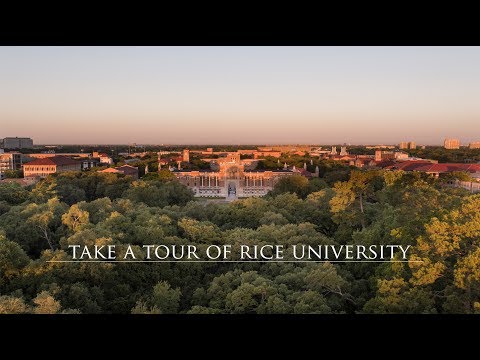 Vídeo: A Rice University está localizada?