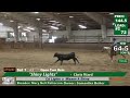Shiny Lights Chris Ward Open Bridle RED DIRT RENDEZVOUS 2026