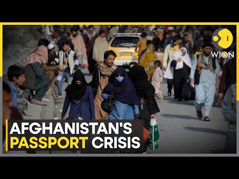 Afghans seeking to escape Taliban's rule, rush for passports breaks out in Kabul | WION | World News