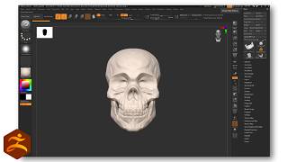 Speed Modeling Human Skull - Full Process (ZBrush 2026.2.1) screenshot 1