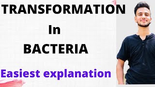 TRANSFORMATION IN BACTERIA \/ Microbiology