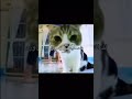 شني صاير بيج خيهه هاي عودك بعدج بالبدايهه اشتراك اكسبلور لايك ترند دويتو  تصميمي